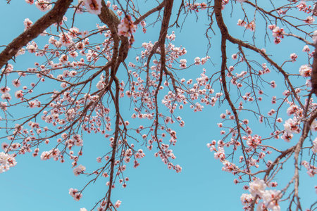 Under the blue sky of Heng Fa Chuen