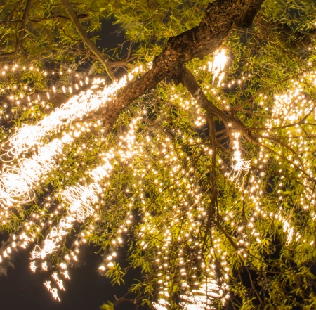 light tree decoration at nightの写真素材