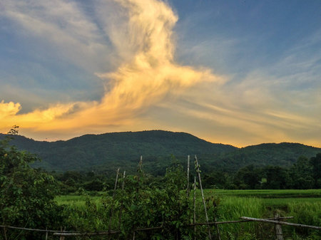 A Rice field in Vangvieng, Laosの写真素材