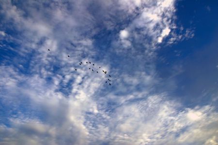 Heaven, sky, abstract, white, texture, の写真素材