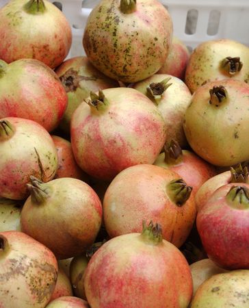  Food, pomegranate, の写真素材