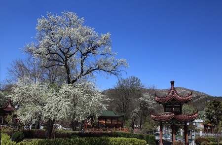 The Chinese Anhui Xiao County の写真素材