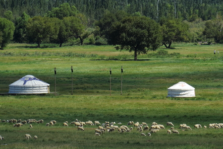 A city of northern Baotou China prairie City, Mongolia near the sheep in a leisurely grazing package.の写真素材