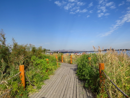 Early autumn park sceneryの写真素材