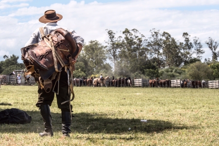 Gaucho in the campo, Maldonado, Uruguayの写真素材