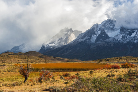 Autumn in Patagonia. The Torres del Paine National Park in the south of Chile is one of the most beautiful mountain ranges in the world.の写真素材