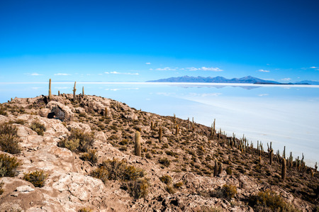 Salt lake - Salar de Uyuni in Boliviaの写真素材