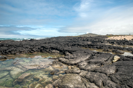 Beautiful landscape of Isabela Island, is the largest island of the Galapagos Islands, Ecuadorの写真素材