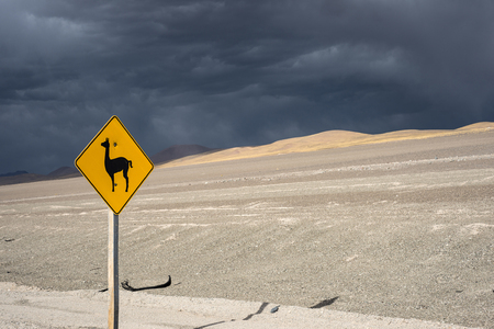 Vicugna (wild South American camelid) road sign, Salinas Grandes, northern Argentinaの写真素材