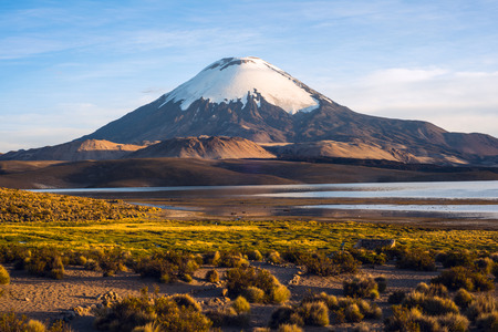 Snow capped Parinacota Volcano reflected in Lake Chungara, Chileの写真素材