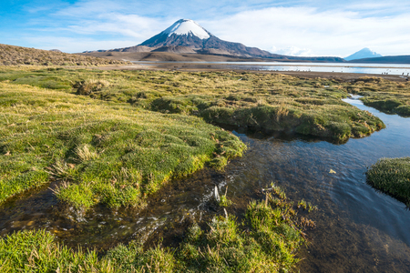 Snow capped Parinacota Volcano over the Lake Chungara, Chileの写真素材
