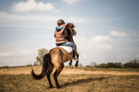 Rearing horse with riderの写真素材