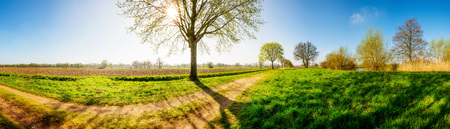 Panoramic view of a beautiful landscape in springの写真素材