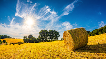 Landscape in summer with hay bales on a field and blue sky with bright sun in the background