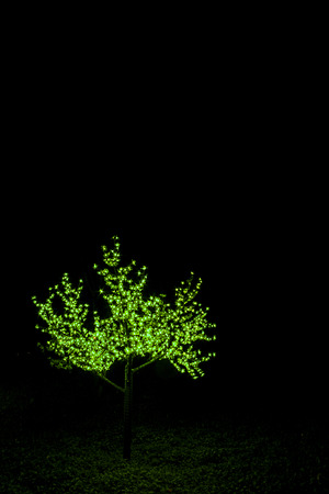 Treeの写真素材