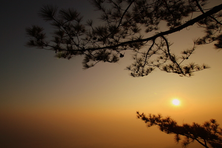 Sunrise in the morningの写真素材