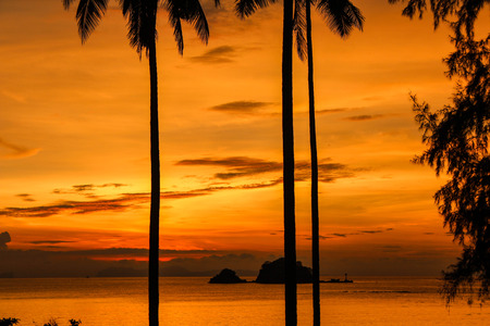 Sunset on the beach.の写真素材