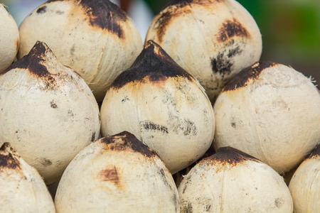Pile of young coconut drinks at the market.の写真素材
