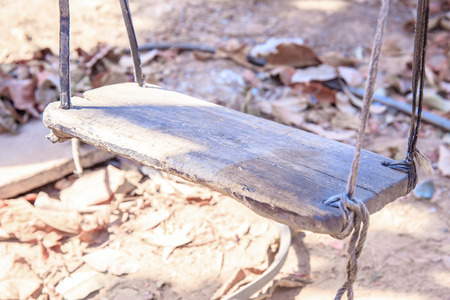 Wooden swing hanging a tree with sun shine.の写真素材