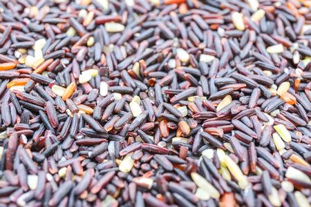 Rice berry for background.の写真素材