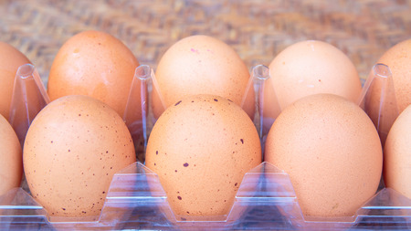 eggs in tray.