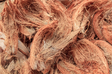 Pile of discarded coconut huskの写真素材