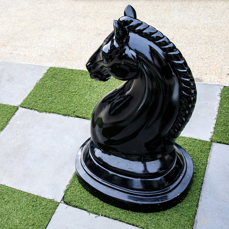 Big of black or dark horse chess at outdoor.の写真素材
