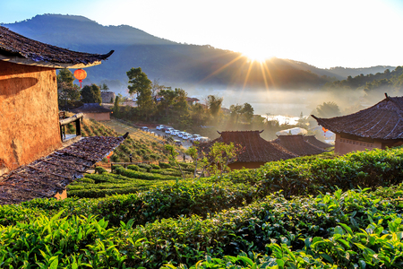Maehongson, Thailand. - February 22, 2017 : Lee Wine or LeeWine Lodging houses among the tea plantation on the hill slope at Ban Rak Thai (Thai loving village), Mae Hong Son province, Thailand.のeditorial素材