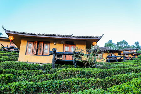 Maehongson, Thailand. - February 22, 2017 : Lee Wine or LeeWine Lodging houses among the tea plantation on the hill slope at Ban Rak Thai (Thai loving village), Mae Hong Son province, Thailand.のeditorial素材