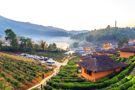 Maehongson, Thailand. - February 22, 2017 : Lee Wine or LeeWine Lodging houses among the tea plantation on the hill slope at Ban Rak Thai (Thai loving village), Mae Hong Son province, Thailand.のeditorial素材