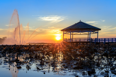 Sunset at the Pavilion on lake or pond or swamp of Bueng See Fai, Phichit, Thailand.の写真素材