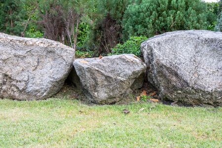 Green leaf of pine tree and stone or rock on the bottom for background.の写真素材