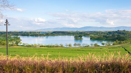 Landscape panorama of Lake and Tea Plantation in Singha Park Chiang Rai, Thailandの写真素材