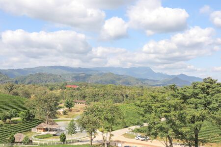Chiangrai, Thailand. - December 15, 2018 : Choui Fong tea plantation and blue sky and white clouds at   Chiangrai.のeditorial素材