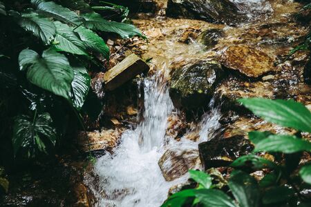Focused on Motion of water at brook of water fall.の写真素材