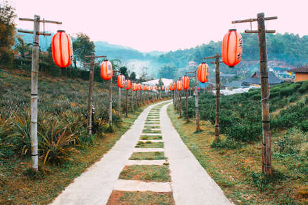 Mae Hong Son, Thailand. - February 22, 2017 : Lee Wine or LeeWine Lodging houses among the tea...