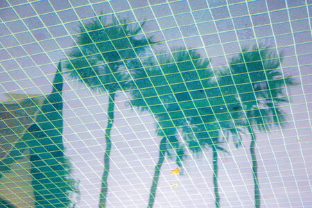 Reflection of water in green swimming pool of hotel with Thai roof style building and coconut palm...