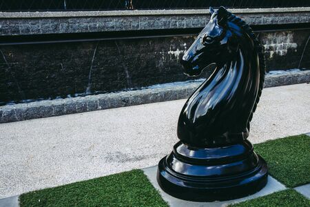 Big of black or dark horse chess at outdoor.の写真素材