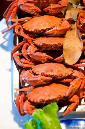 fresh spider crabs ordered, ready to cookの写真素材