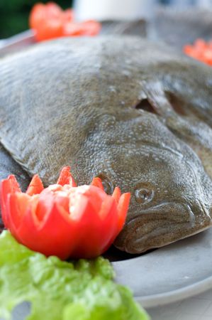 fresh turbot over a tray with vegetablesの写真素材