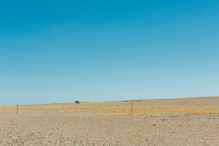 Desert sceneryの写真素材