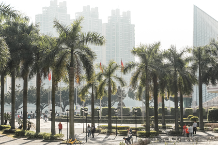 palm trees in the cityのeditorial素材