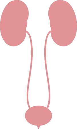 Simple bladder illustration internal organs / discharger