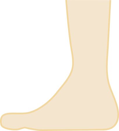 Plain foot illustrationsのイラスト素材