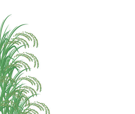 Illustration of green riceのイラスト素材