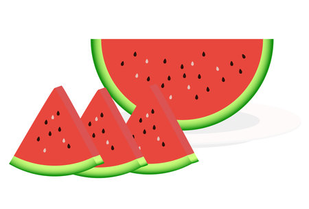 Watermelon Illustrationsのイラスト素材