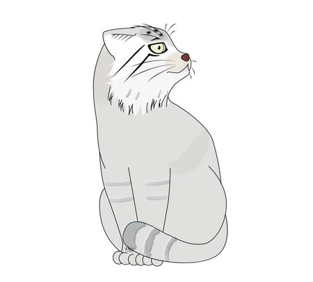 Illustration of a manul cat sitting next to a slim summer hairのイラスト素材