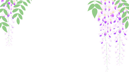 Background frame illustration with wisteria flowers hanging downのイラスト素材
