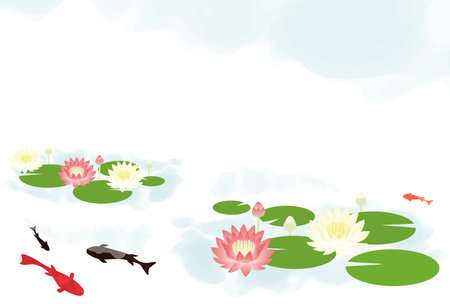 Background illustration of a pond with water lilies blooming and goldfish swimmingのイラスト素材