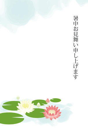 Postcard illustration of sympathy in the heat of a landscape of water lilies in bloomのイラスト素材